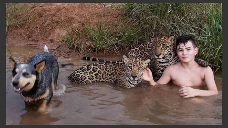 La foto de Tiago y los jaguares que se viralizó y generó dudas.