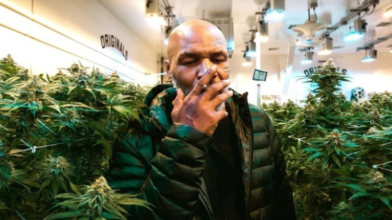 Tyson quiere tener la empresa de cannabis 