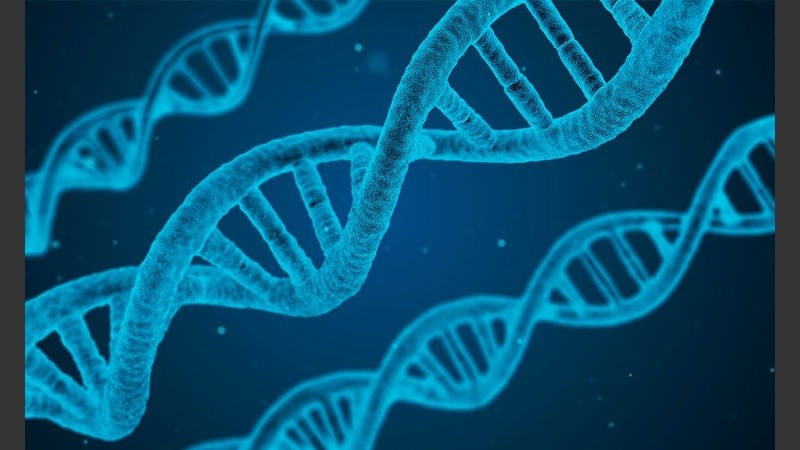 Se han identificado 179 genes y reguladores genéticos que actúan como “conductores” del cáncer.