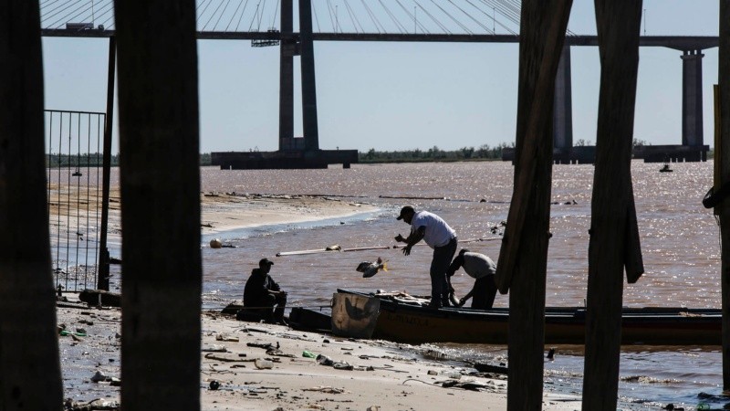Por la bajante del Paraná hay más peces en el río según dijeron los pescadores.