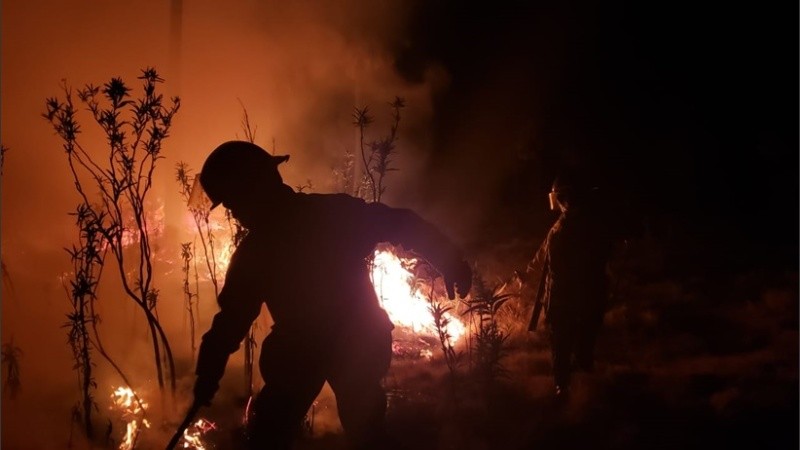Bomberos Zapadores actuaron en el combate de las llamas.