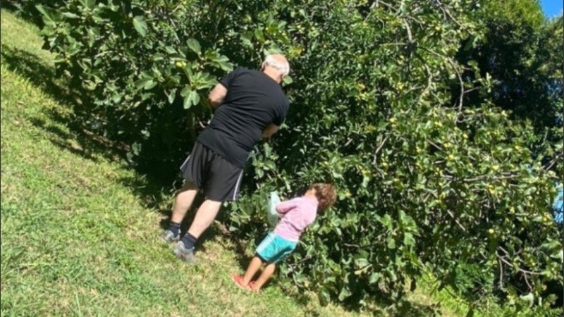 La foto más tierna de Lifschitz, junto a su nieta juntando higos