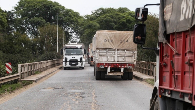 El operativo cosecha espera 10 mil camiones por día dentro de un mes.