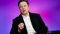 Elon Musk y una promesa para quedarse con Twitter: “Venceremos a los bots o moriremos en el intento”