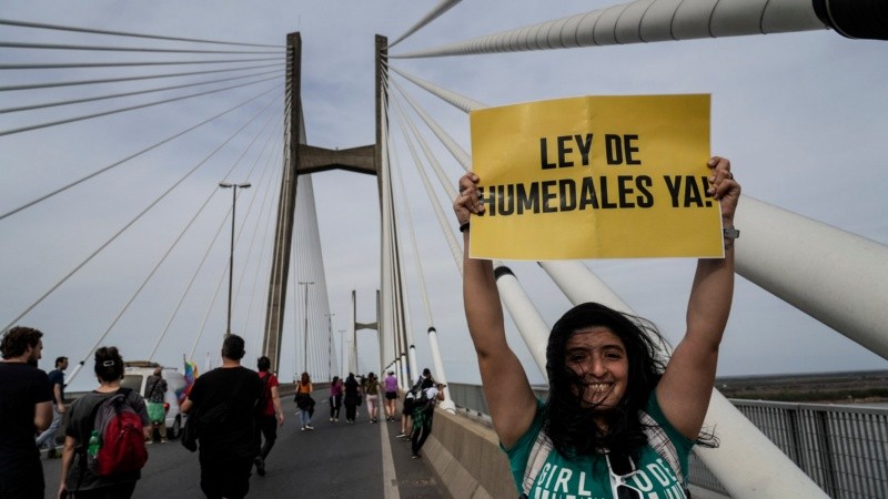 Organizaciones Guardianas del Humedal contra la suspensión de la cautelar.