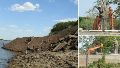 Denuncian un proyecto que “altera la barranca del río Coronda” en Gaboto y Casilda vuelve a movilizar en defensa del parque