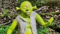 Estados Unidos: se robaron una enorme estatua de Shrek y la policía pide ayuda para encontrarla