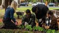 La Secretaría de Ambiente y Espacio Público reabre los cursos y talleres de jardinería