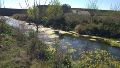 La creación de una reserva sigue cajoneada mientras debaten un proyecto en zona inundable del Ludueña