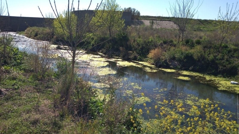 ¿Una reserva o más urbanizaciones en la zona del arroyo Ludueña y Funes?