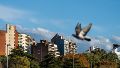 El clima en Rosario: domingo con sol y algunas nubes