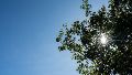 El clima en Rosario: jueves soleado y agradable por la tarde antes de las lluvias