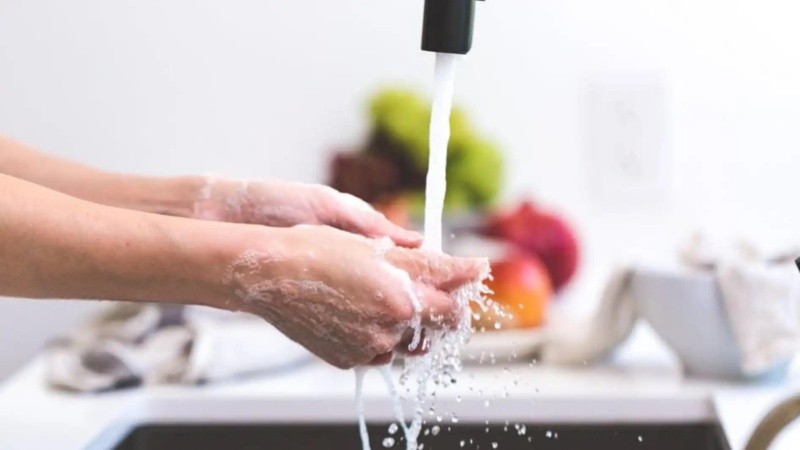Lavado de manos y la correcta manipulación de alimentos, entre las principales recomendaciones para prevenir el SUH.