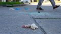 Mirar a los ojos al crimen: otro encuentro con el Diablo