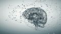 Qué es la reserva cognitiva y cuál es su relación con los efectos de enfermedades como el Alzheimer