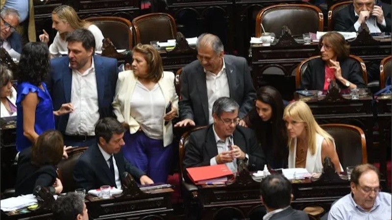 Se activó el diálogo en Diputados para frenar el DNU de Javier Milei sobre jubilaciones.