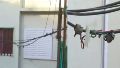 Los cables sueltos y electrificados atemorizan a los vecinos que deben sortearlos para ingresar a sus casas.