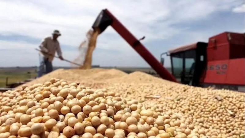 La exportación de granos sigue trabajando con altos niveles de capacidad ociosa.