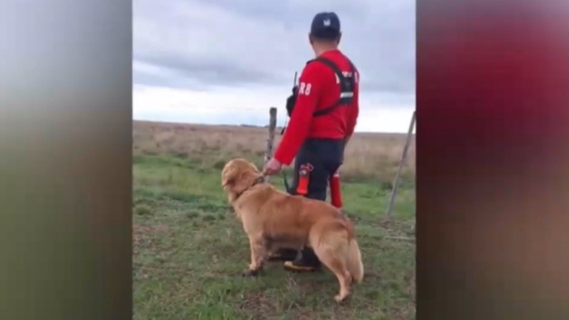 El perro rescatista de los Bomberos de Villa Mugueta que participó del operativo.