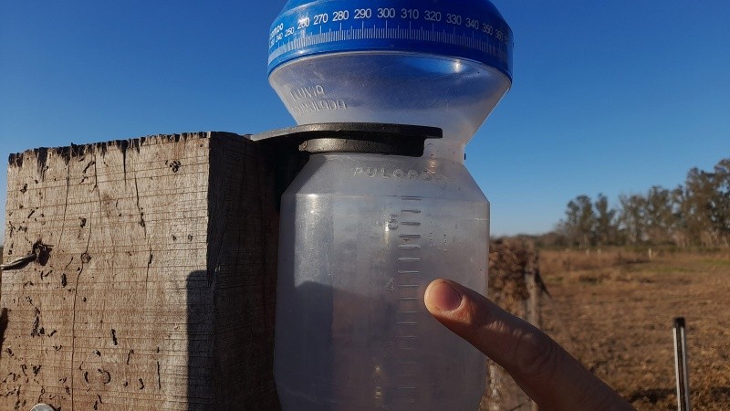 Las lluvias, la sequía, las heladas y las hormigas, son apenas algunas de las dificultades en el campo.