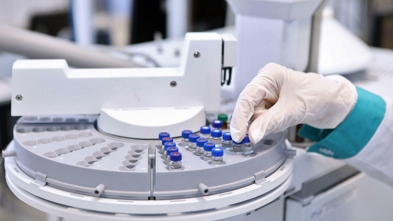El estudio fue conducido por investigadores de la Universidad de São Paulo.