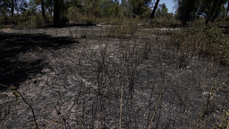 Así quedaron varios sectores de la isla arrasados por el fuego desde el jueves.