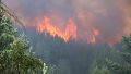 Crece la preocupación por el incendio forestal en Epuyén: el fuego ya arrasó con más de 3 mil hectáreas