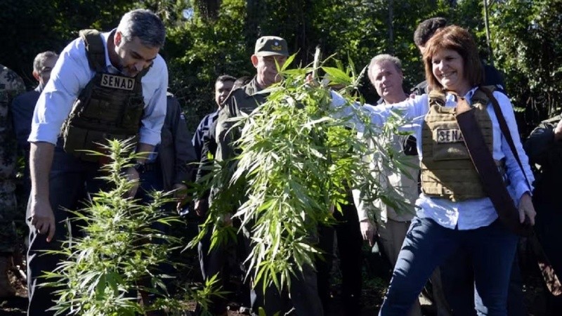 Bullrich durante un operativo de secuestro de plantas de marihuana en la frontera con Paraguay, en 2019.