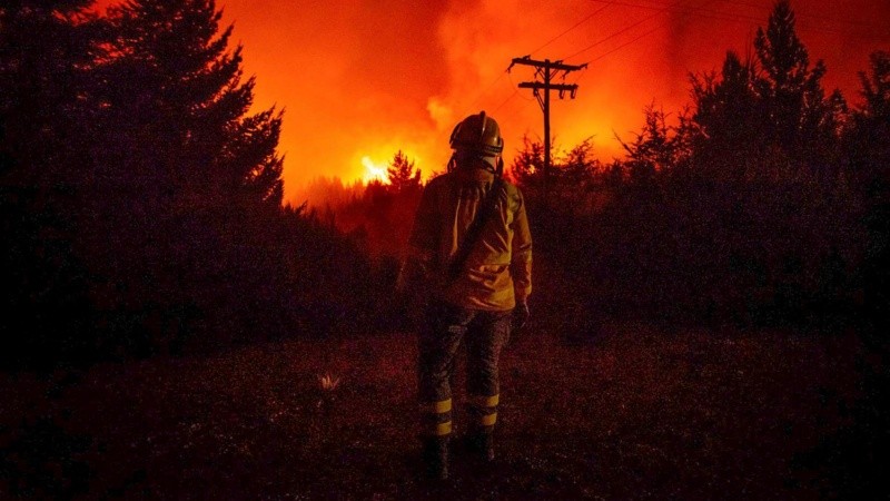 Los incendios forestales consumieron casi 40.000 hectáreas de bosque.