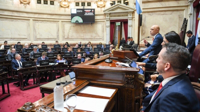 El Senado aprobó la suspensión de las Paso.