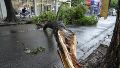 La tormenta de la madrugada dejó 190 reclamos tras el fuerte viento, pero cesó el alerta