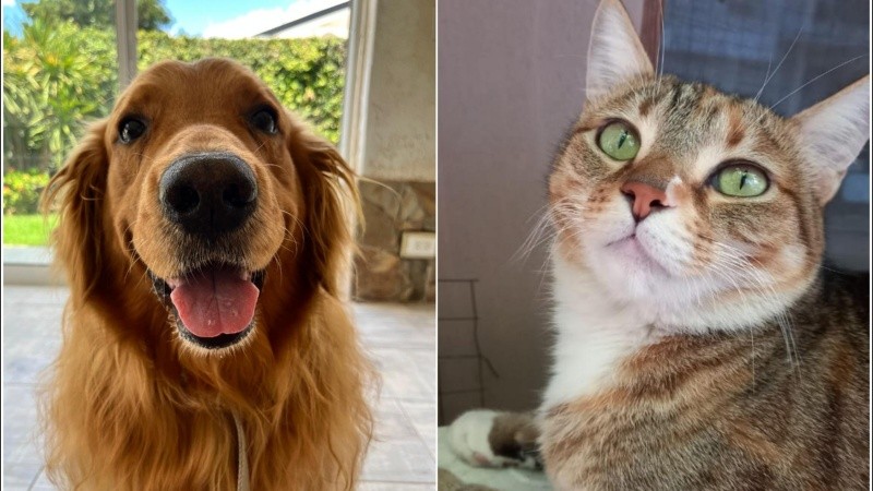 Felíz día para el rey y la reina de la casa.
