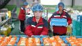 China anunció que, por primera vez, comenzó a exportar peras a la Argentina