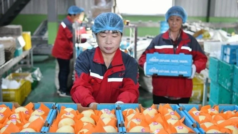 El hecho es histórico, anunciaron las aduanas de Shijiazhuang, en la provincia septentrional China de Hebei.
