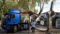 Cortes de tránsito en la Sexta, Abasto y Pichincha por trabajos de mantenimiento del arbolado público