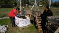 Greem Compost: transformar la basura de Stella Maris en un proyecto de vida
