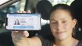 Licencia digital: desde cuándo se podrá tramitar en Santa Fe y qué pasará en lugares sin señal