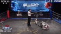 China presentó el primer torneo de kickboxing entre robots humanoides del mundo