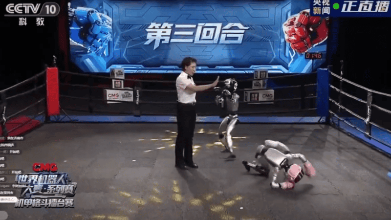 Los robots eran controlados en remoto por sus desarrolladores.