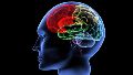 Estímulos negativos breves pueden generar patrones emocionales prolongados en el cerebro.