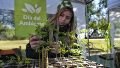 Festival por el Día mundial del Ambiente: “Estar acá es un acto político, el ambiente importa”