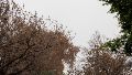 Arranca una semana de temperaturas moderadas que irán de menos a más