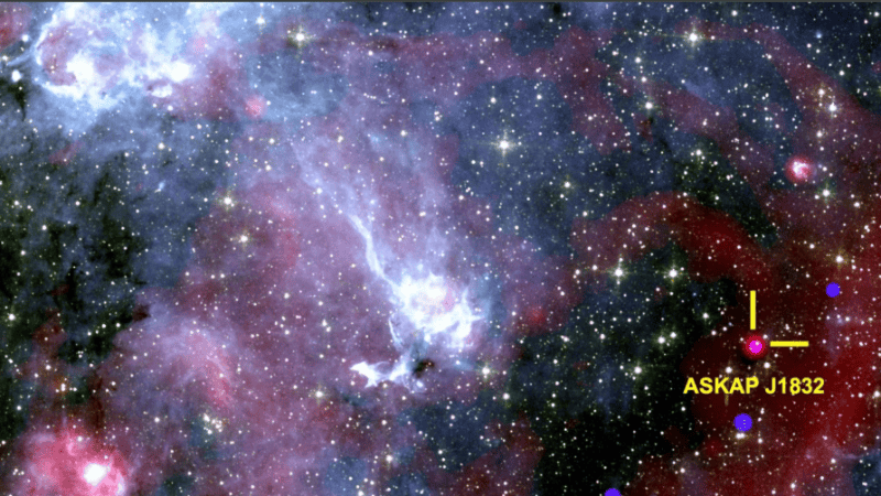 Una de las radiogalaxias gigantes descubiertas, designada ASKAP J0107–2347.