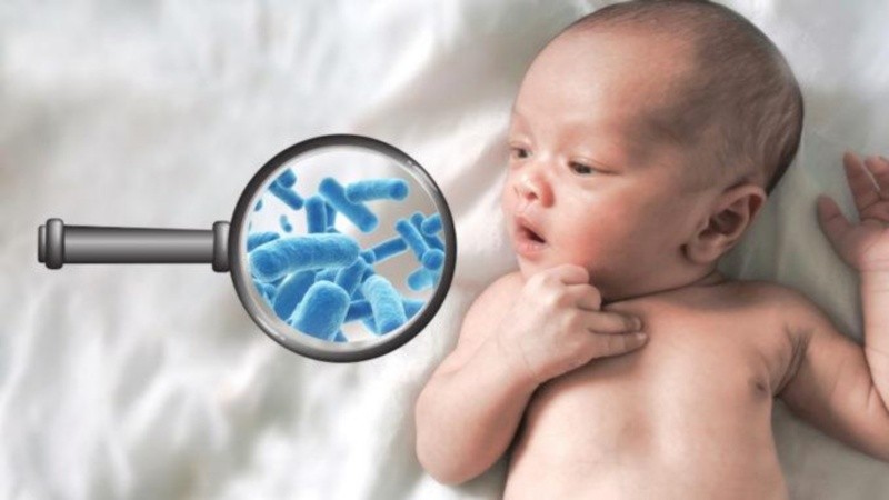 Estos hallazgos contribuyen a estrategias de investigación y prevención de enfermedades respiratorias infantiles.