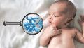 Estos hallazgos contribuyen a estrategias de investigación y prevención de enfermedades respiratorias infantiles.