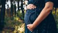 Durante la mitad y el final de la gestación el cerebro fetal entra en una fase clave de su desarrollo, lo que lo hace particularmente vulnerable a factores externos.
