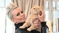 Tras la muerte de su séptimo gato, Daniela Cardone contó a dónde mudará los seis que tiene embalsamados
