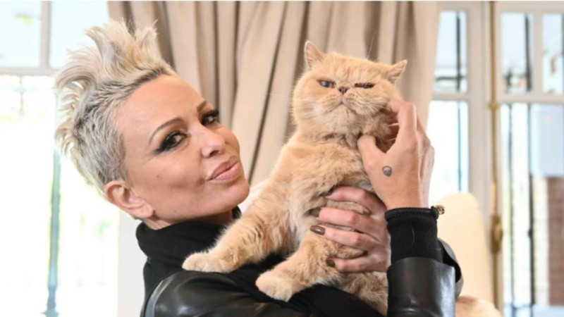 La mamá de Brenda Gandini contó que trasladará sus gatos a una iglesia