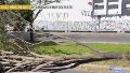 Un árbol de gran porte cayó encima de un motociclista
