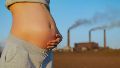 La exposición a niveles elevados de PM2.5 durante la gestación se asoció a un aumento del 23% en riesgo de sobrepeso u obesidad infantil.